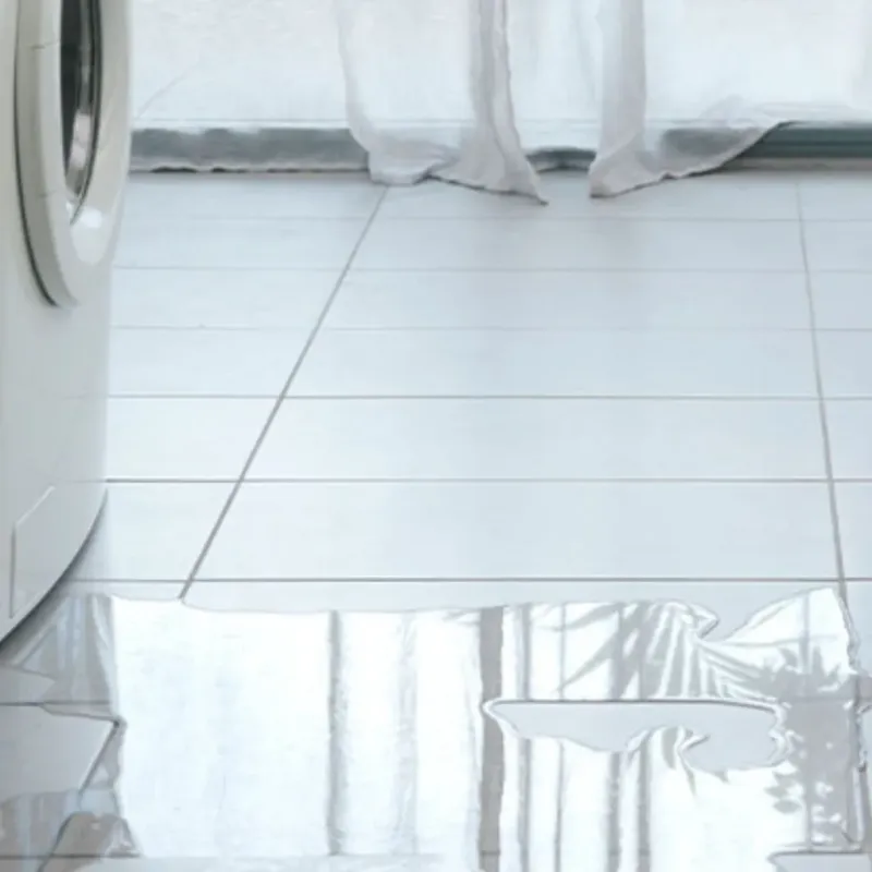 Appliance Leak Cleanup in Grayville, IL