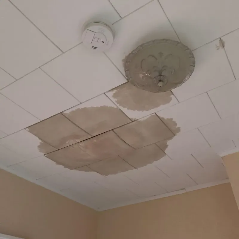 Ceiling Water Damage Repair in Grayville, IL