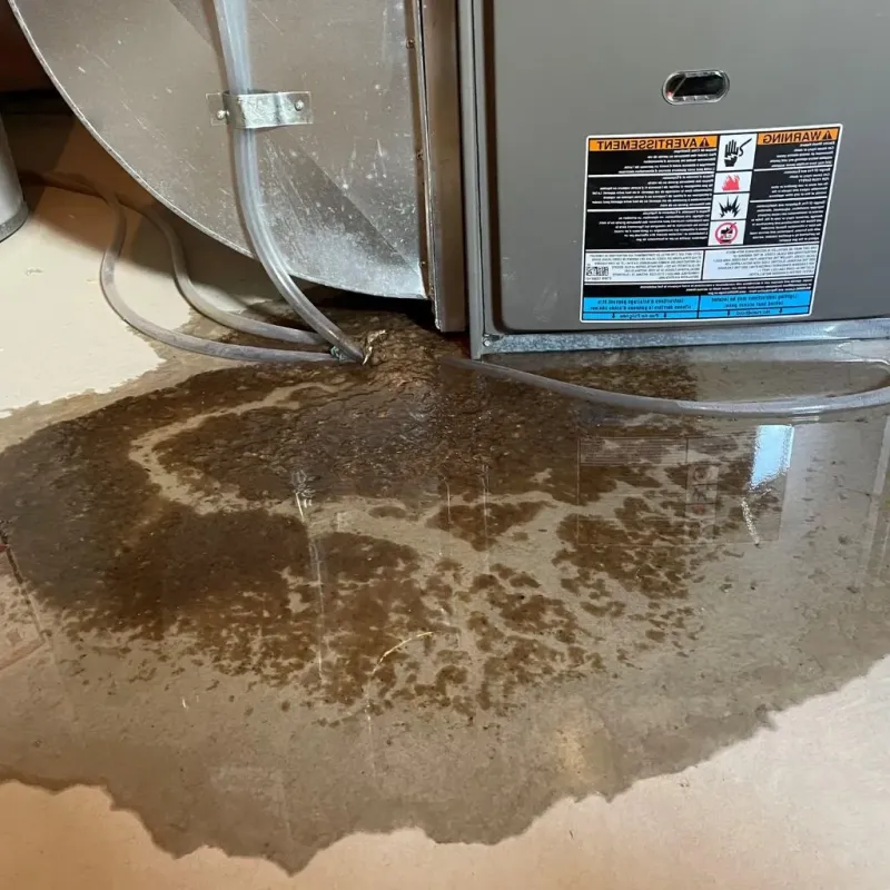 Pipe Burst and Leak Restoration in Grayville, IL