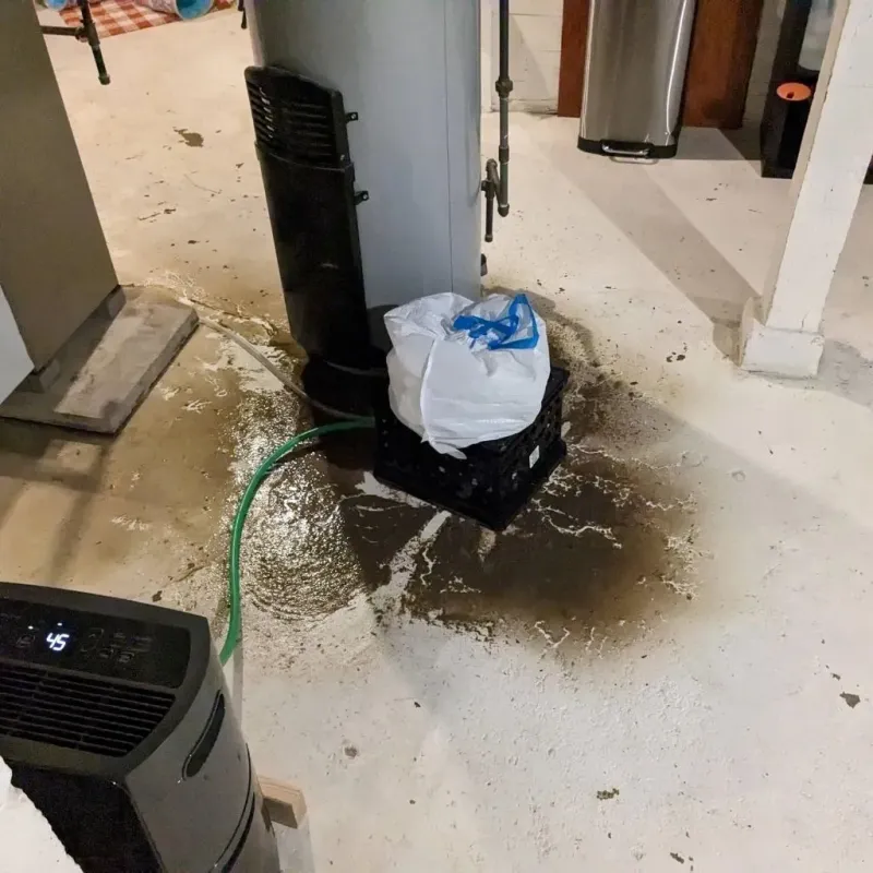 Sewage Backup Cleanup Service in Grayville, IL
